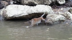 1002902_517037958366484_1288003690_n