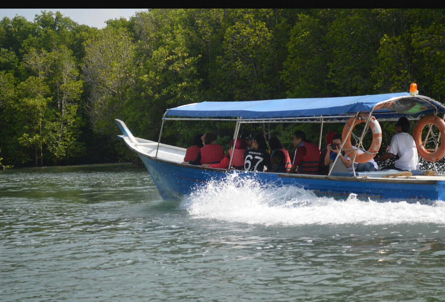 mangrove tour langkawi private boat